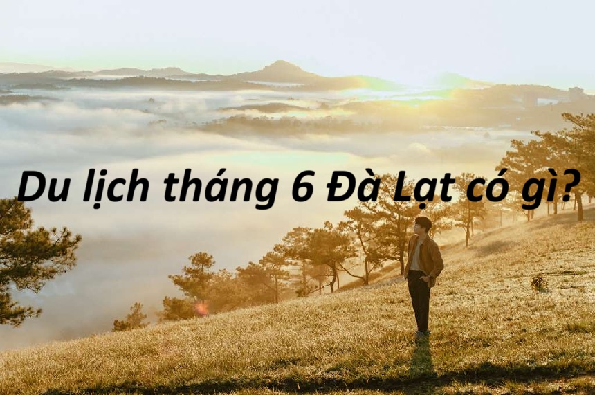 Du lịch tháng 6 Đà Lạt có gì? Chơi gì ở Đà Lạt tháng 6.