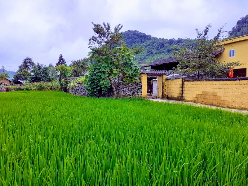 Homie Homestay Hà Giang có gì?