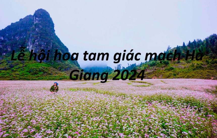 Lễ hội hoa tam giác mạch Hà Giang 2024 khi nào diễn ra?