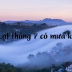 Đà Lạt tháng 7 có mưa không? Có nên đi Đà Lạt vào tháng 7?