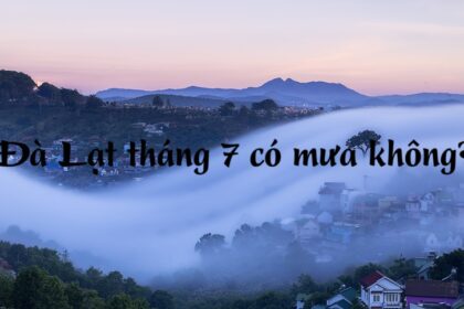 Đà Lạt tháng 7 có mưa không? Có nên đi Đà Lạt vào tháng 7?