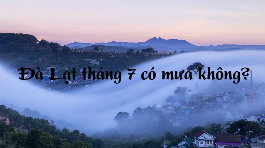 Đà Lạt tháng 7 có mưa không? Có nên đi Đà Lạt vào tháng 7?