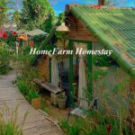 HomeFarm Homestay ở đâu? Đánh giá Homestay HomeFarm Đà Lạt.