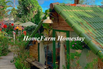 HomeFarm Homestay ở đâu? Đánh giá Homestay HomeFarm Đà Lạt.