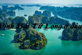 Vịnh Bái Tử Long ở đâu - địa điểm du lịch nổi tiếng Quảng Ninh