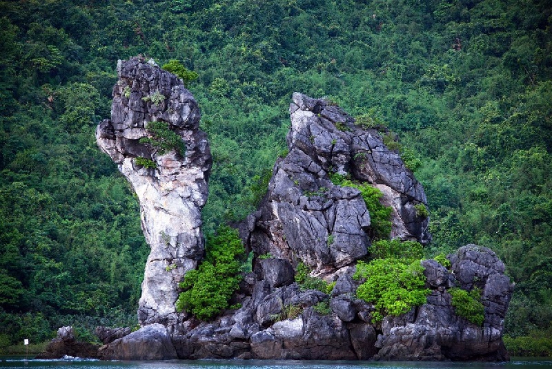 Hòn Thiên Nga - Đảo đá nổi trên mặt vịnh Trà Thần (đảo Trà Ngọ Lớn).