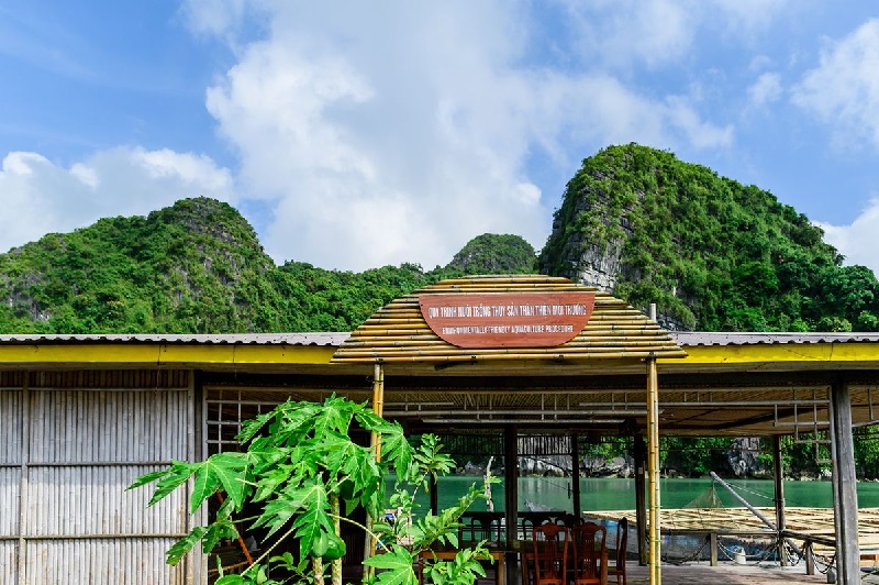 Làng chài Cống Đầm nằm bình yên dưới chân dãy núi đá vôi hùng vĩ.