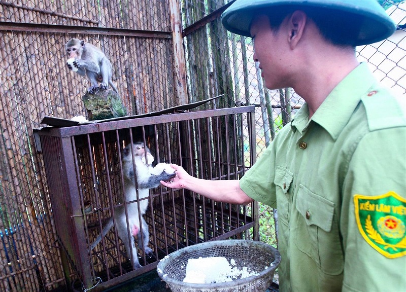 Đảo Ba Mùn thuộc vườn quốc gia Bái Tử Long hiện đang là Trung tâm cứu hộ động vật trên biển lớn nhất khu vực Đông Bắc.