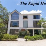 Review The Kupid Homestay Đà Lạt, homestay The Kupid ở đâu?