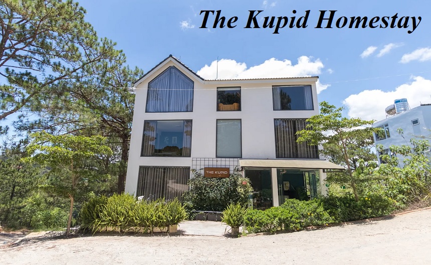 Review The Kupid Homestay Đà Lạt, homestay The Kupid ở đâu?