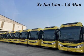 Nhà xe về Cà Mau, xe khách nào từ TPHCM đi Cà Mau?