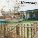 Các homestay Lagi giá rẻ, homestay ở Lagi gần biển cho cặp đôi.