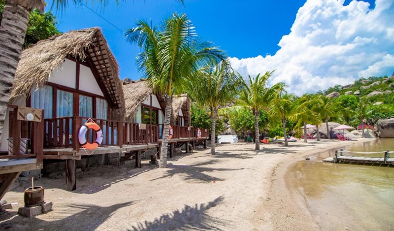 Starfish Cam Ranh - Sao Biển Cam Ranh