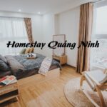 Địa chỉ homestay Quảng Ninh giá rẻ dành cho du khách tự túc