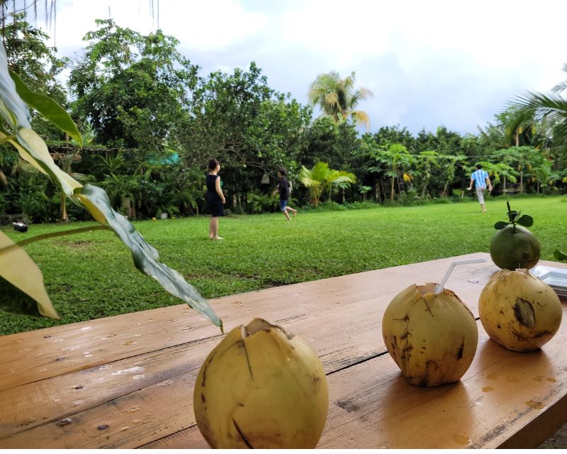 Đánh giá Happy Farm Tiền Giang.